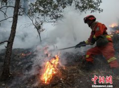 澳门金沙赌场_澳门金沙网址_澳门金沙网站_
丽江宁蒗县突发森林火灾 各线火势